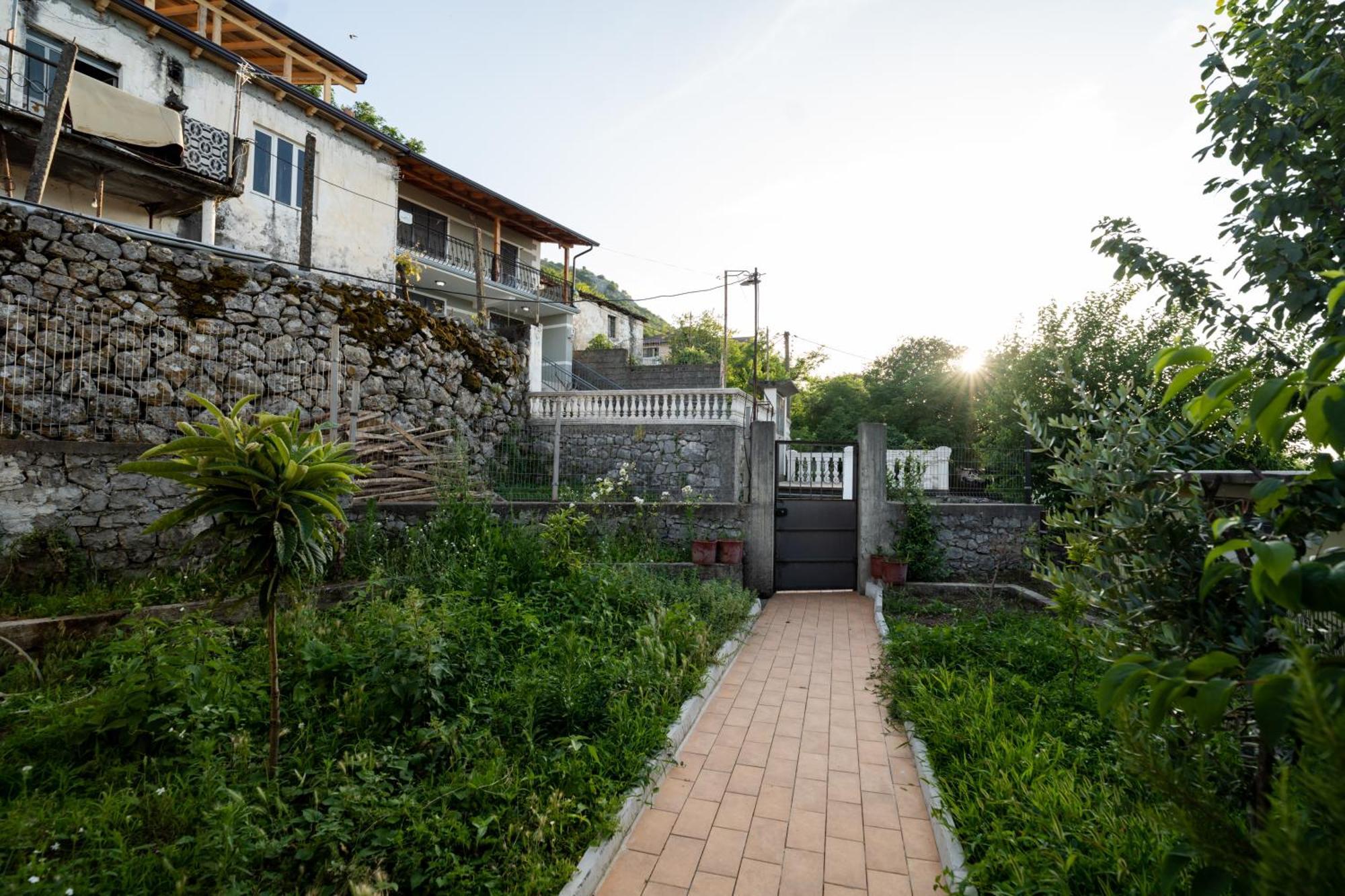 Natural Zogaj * Shkoder